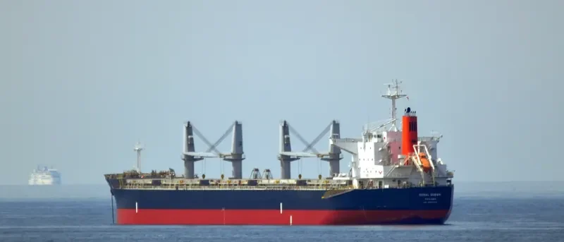CORAL QUEEN Bulk Carrier IMO 9524023 photo 6