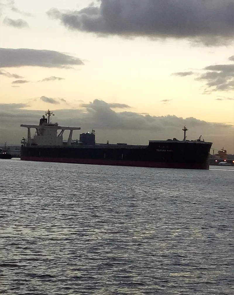 TSUKUBA MARU Bulk Carrier IMO 9524035