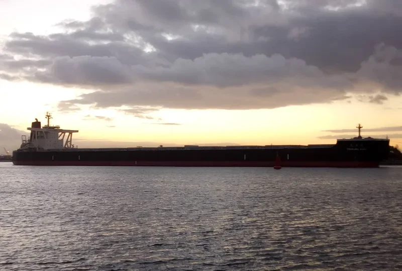 TSUKUBA MARU Bulk Carrier IMO 9524035 photo 2