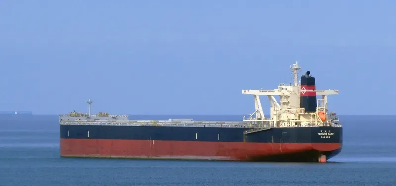 TSUKUBA MARU Bulk Carrier IMO 9524035 photo 8