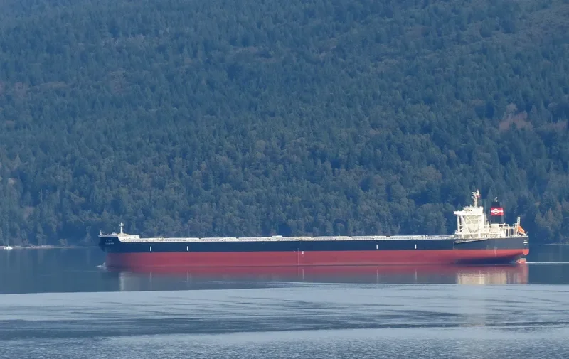 TSUKUBA MARU Bulk Carrier IMO 9524035 photo 10