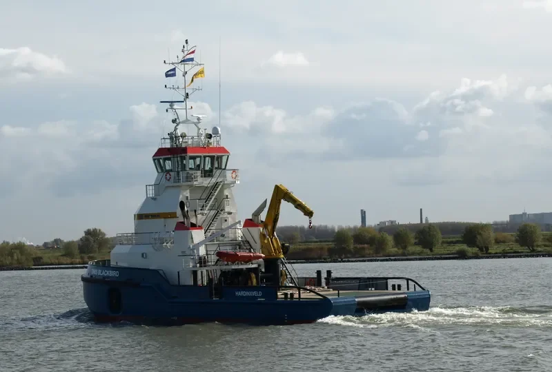BLACKBIRD General Cargo IMO 9524504 photo 5
