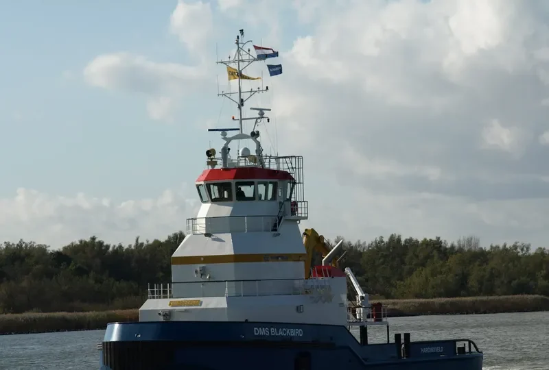 BLACKBIRD General Cargo IMO 9524504 photo 8