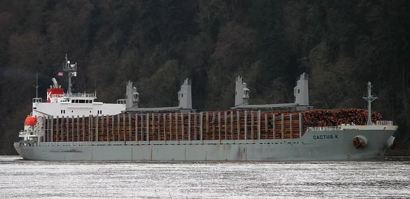 FULVIA Bulk Carrier IMO 9524669 photo 2
