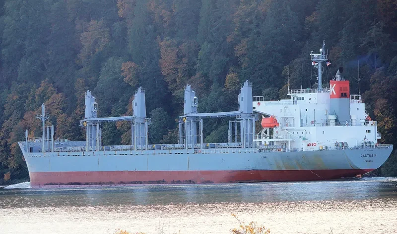 FULVIA Bulk Carrier IMO 9524669 photo 3