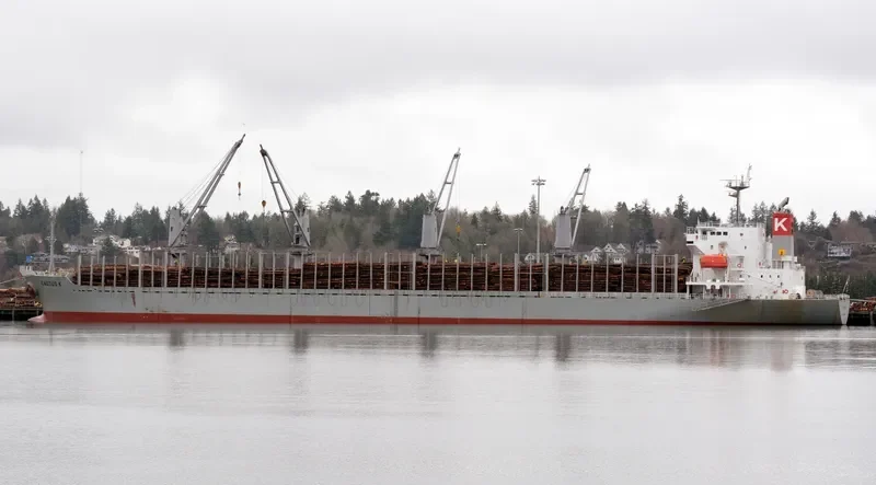 FULVIA Bulk Carrier IMO 9524669 photo 6