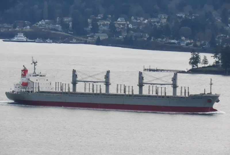 FULVIA Bulk Carrier IMO 9524669 photo 7