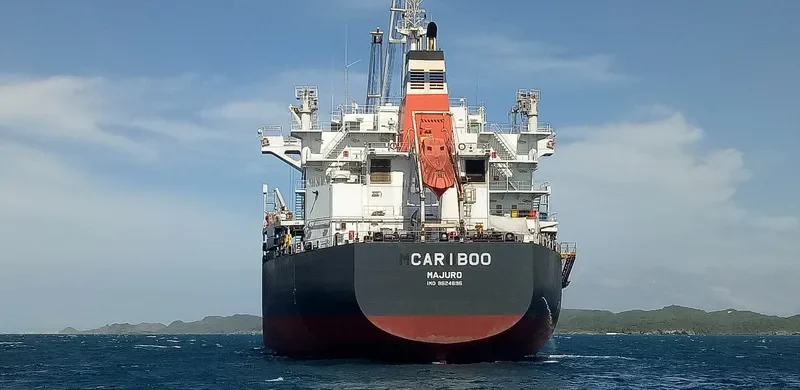 CARIBOO Bulk Carrier IMO 9524695