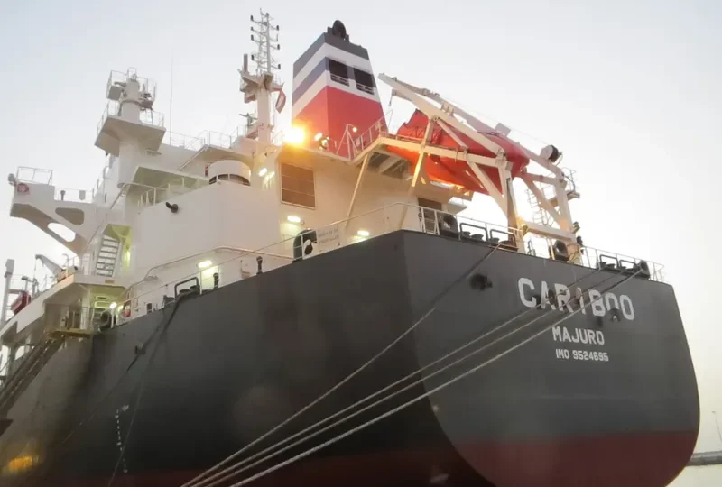 CARIBOO Bulk Carrier IMO 9524695 photo 7