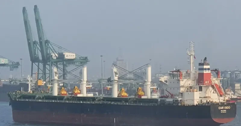 CARIBOO Bulk Carrier IMO 9524695 photo 8