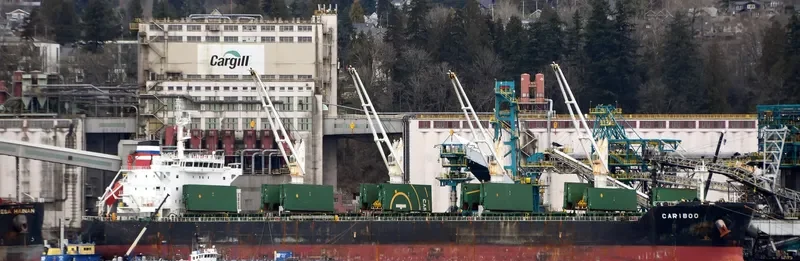 CARIBOO Bulk Carrier IMO 9524695 photo 10
