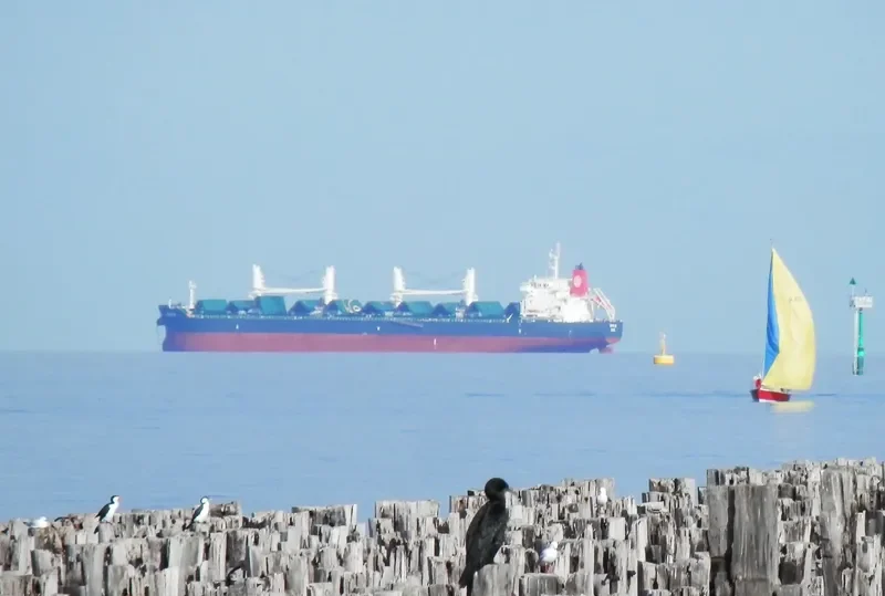 YASA CANARY Bulk Carrier IMO 9524700 photo 5