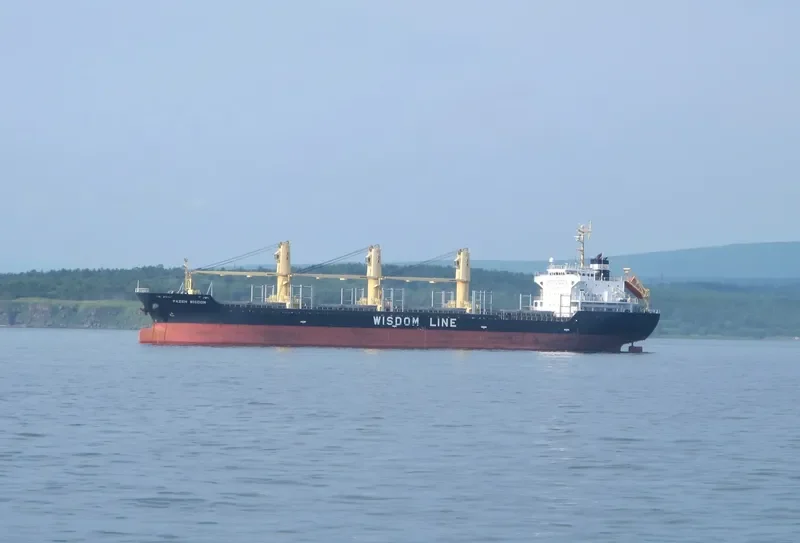 PAZEH WISDOM Bulk Carrier IMO 9524803 photo 3
