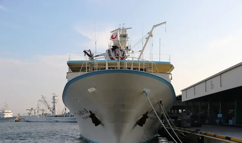 FUKUICHI MARU NO.83 General Cargo IMO 9524853 photo 7