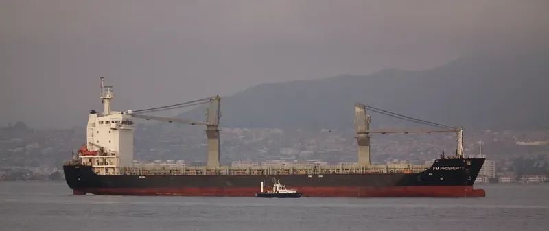 FM PROSPERITY General Cargo IMO 9525417 photo 5