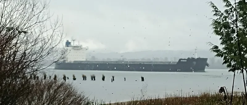 MYNIKA Bulk Carrier IMO 9525613