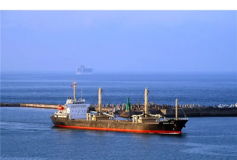 DONG PHU General Cargo IMO 9525687 photo 6