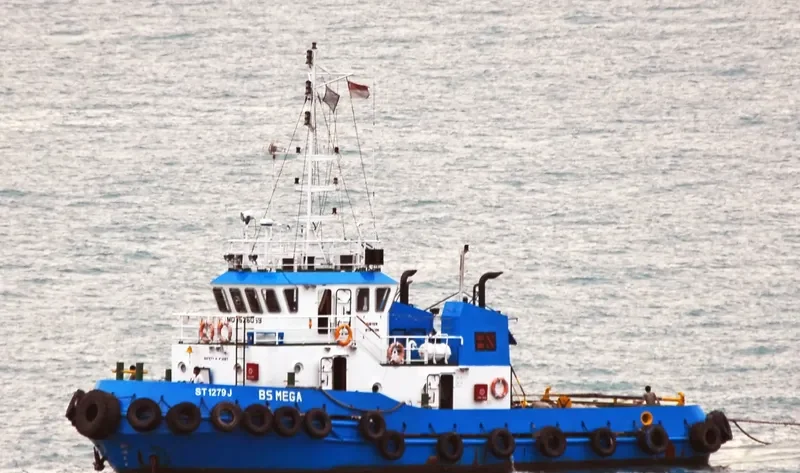 BRUMBY 274 General Cargo IMO 9526069