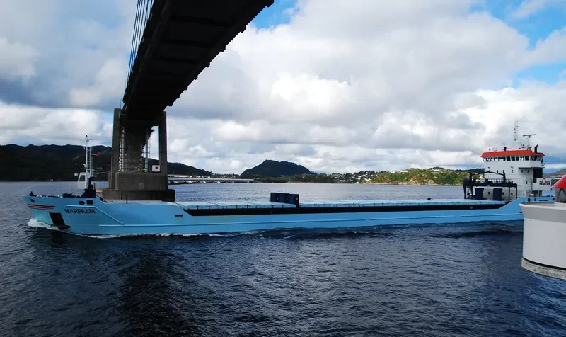MARFAAM General Cargo IMO 9526100 photo 6