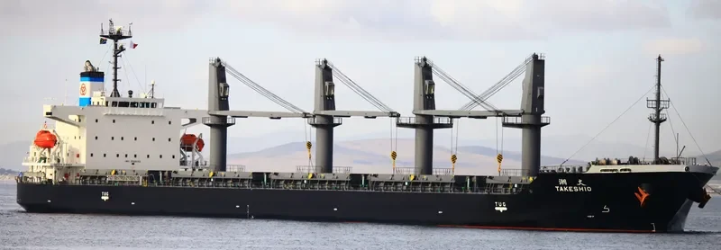TAKESHIO General Cargo IMO 9526162 photo 10