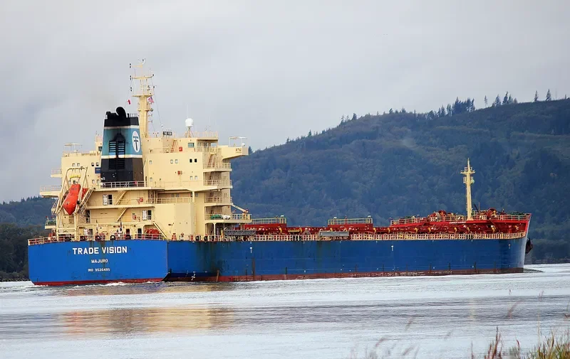 INDIA VISION Bulk Carrier IMO 9526485