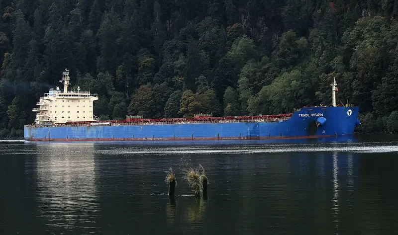 INDIA VISION Bulk Carrier IMO 9526485 photo 4