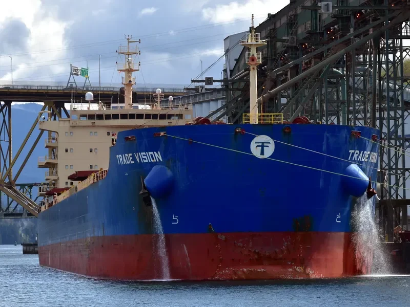 INDIA VISION Bulk Carrier IMO 9526485 photo 5