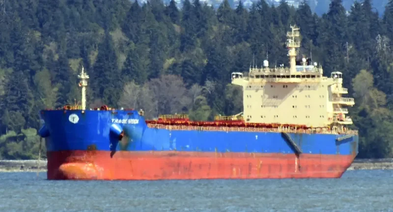 INDIA VISION Bulk Carrier IMO 9526485 photo 7