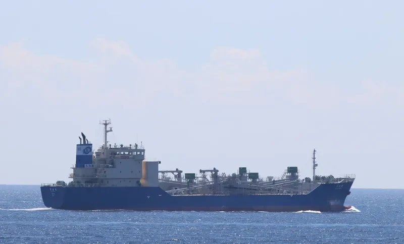 KAKUYU MARU Bulk Carrier IMO 9526617 photo 8