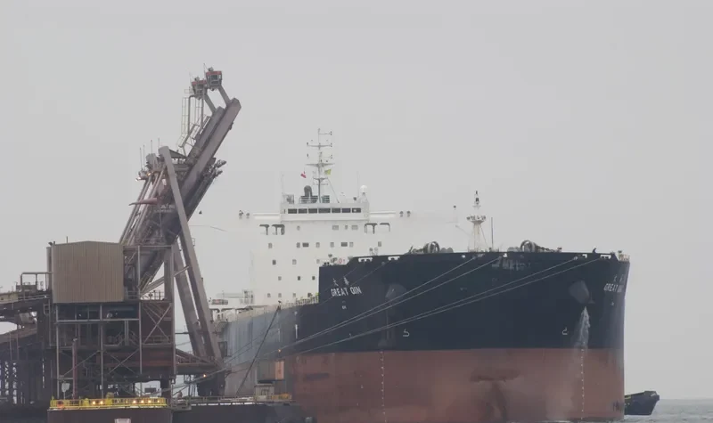 GREAT QIN Bulk Carrier IMO 9526667 photo 3