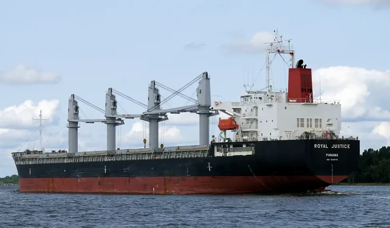 RADIUS Bulk Carrier IMO 9526710 photo 3