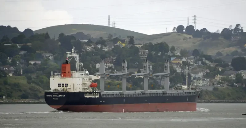 BASIC CHALLENGER Bulk Carrier IMO 9526722 photo 7