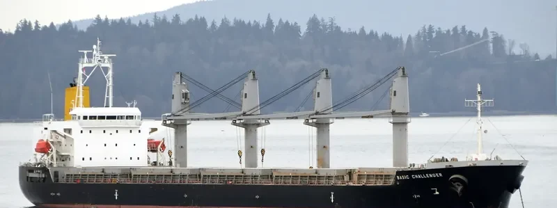 BASIC CHALLENGER Bulk Carrier IMO 9526722 photo 10