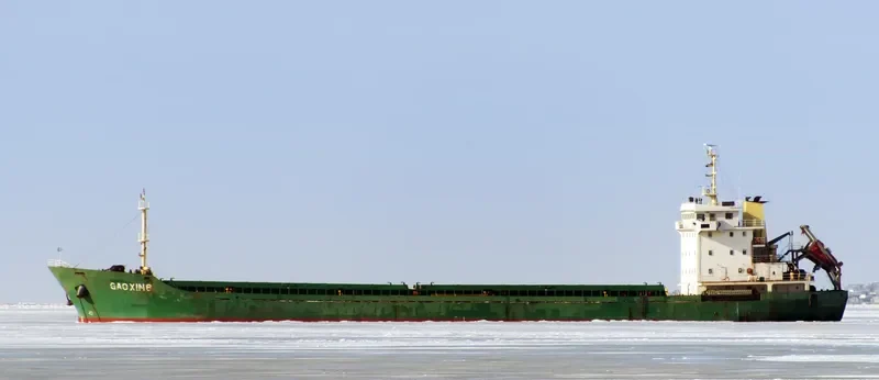 GAO XIN 6 General Cargo IMO 9526849 photo 2