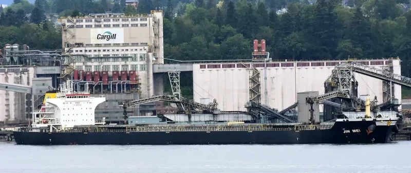 JIN MEI Bulk Carrier IMO 9527142