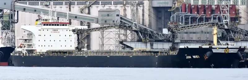 JIN MEI Bulk Carrier IMO 9527142 photo 2