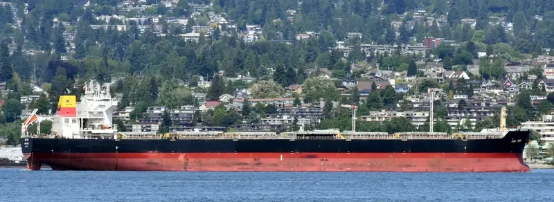 JIN MEI Bulk Carrier IMO 9527142 photo 3