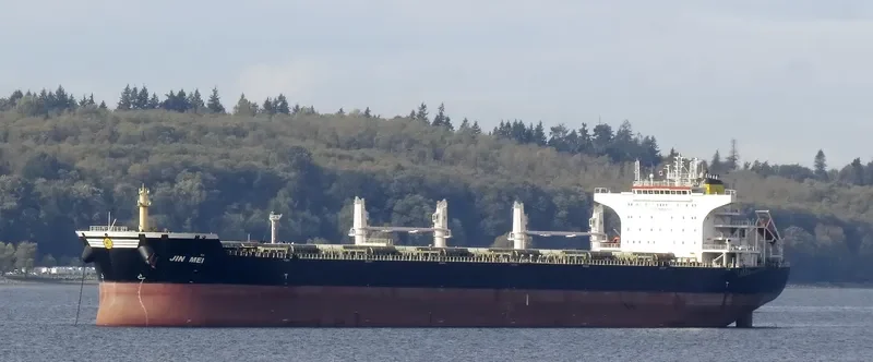JIN MEI Bulk Carrier IMO 9527142 photo 7