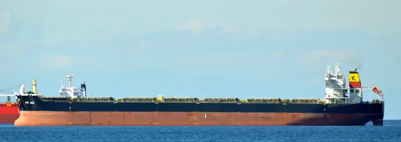 JIN MEI Bulk Carrier IMO 9527142 photo 8