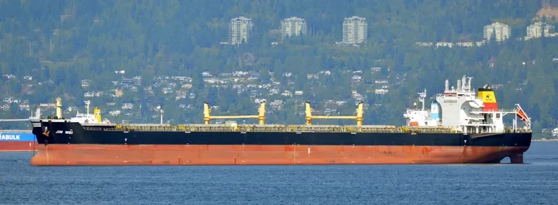 JIN MEI Bulk Carrier IMO 9527142 photo 9