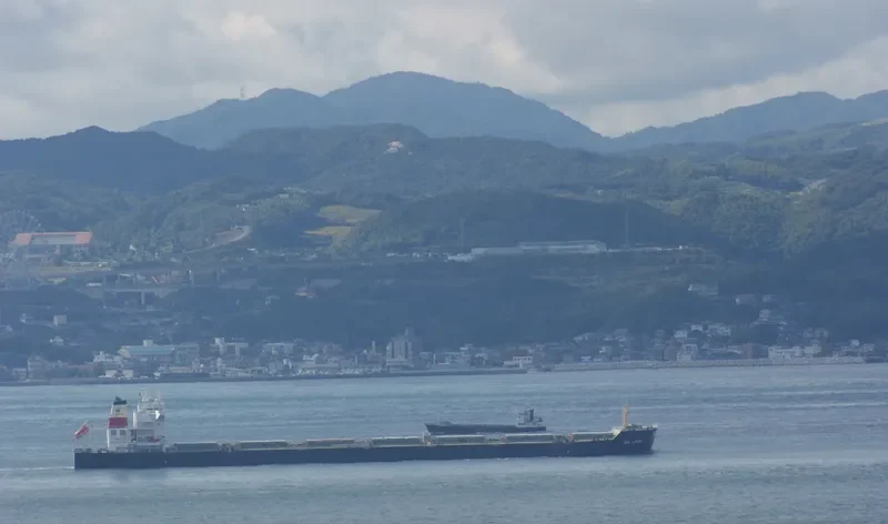 JIN LANG Bulk Carrier IMO 9527154 photo 4