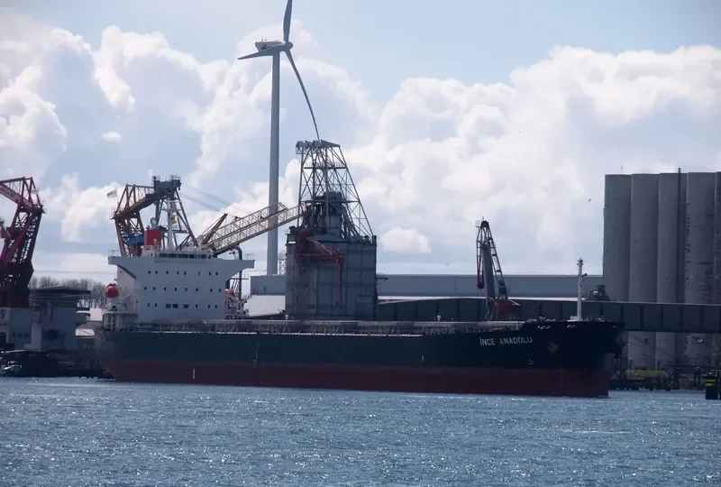 INCE ANADOLU Bulk Carrier IMO 9527271 photo 2