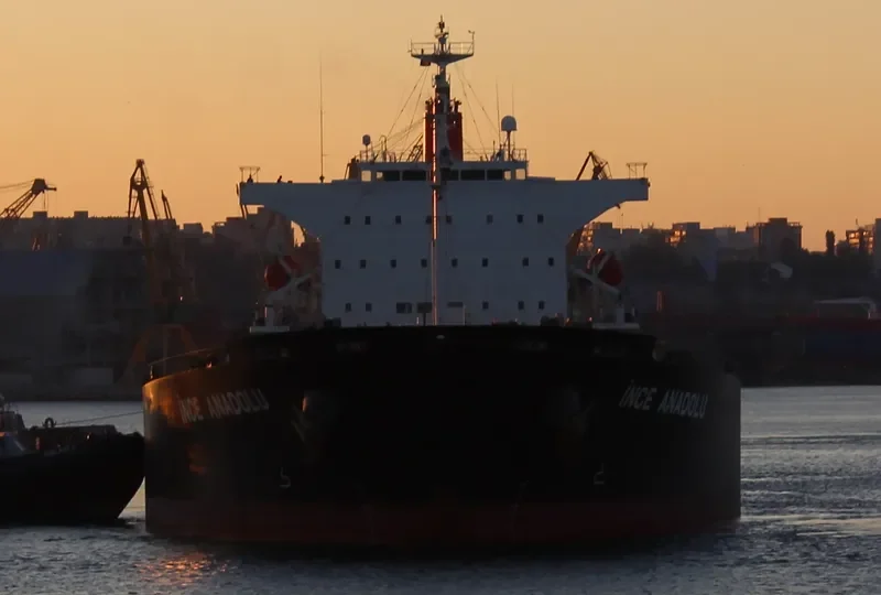 INCE ANADOLU Bulk Carrier IMO 9527271 photo 6