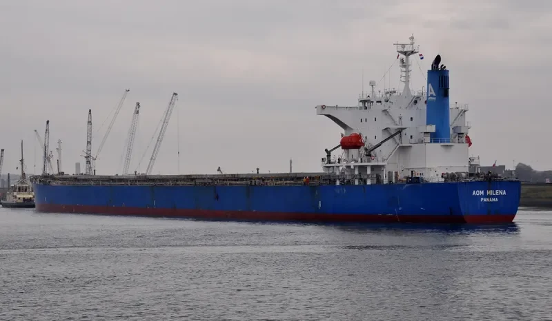 WISDOM DIVA Bulk Carrier IMO 9527283 photo 3