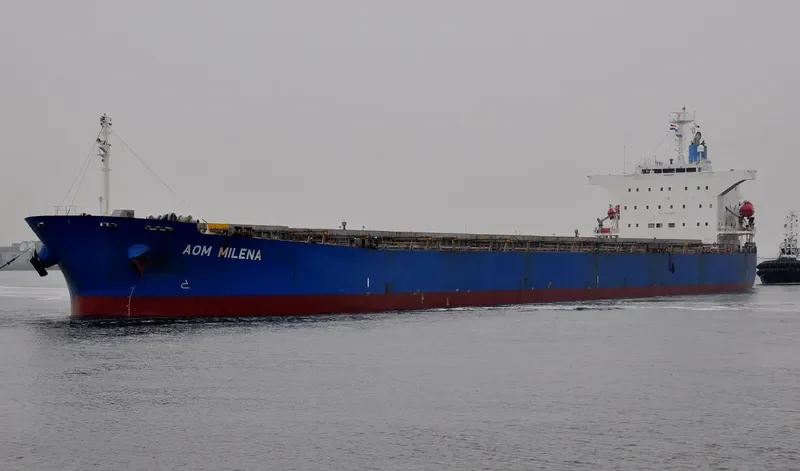 WISDOM DIVA Bulk Carrier IMO 9527283 photo 4