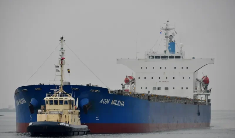 WISDOM DIVA Bulk Carrier IMO 9527283 photo 5