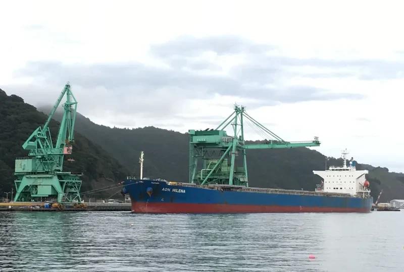 WISDOM DIVA Bulk Carrier IMO 9527283 photo 7