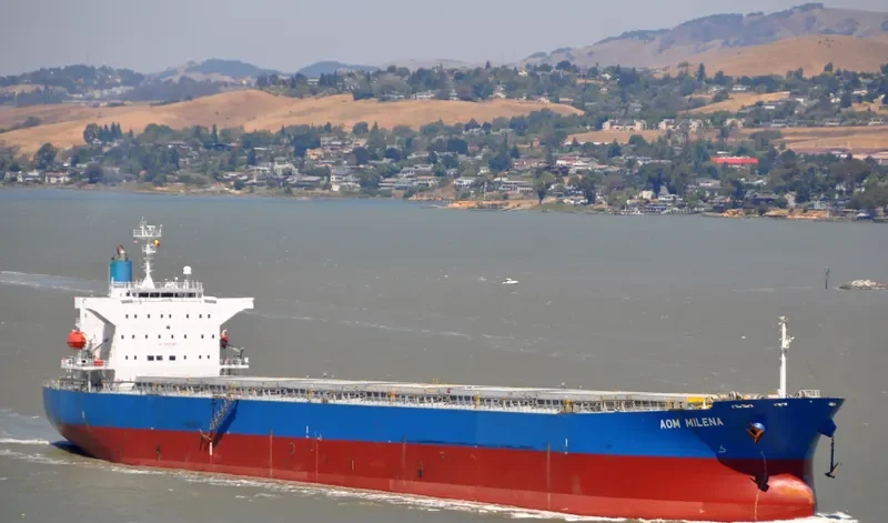 WISDOM DIVA Bulk Carrier IMO 9527283 photo 10