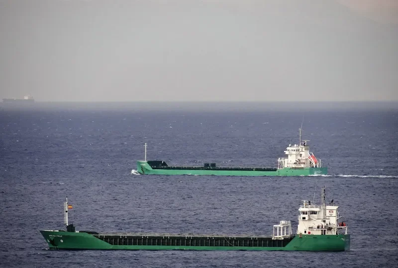 ARKLOW FIELD General Cargo IMO 9527673 photo 2