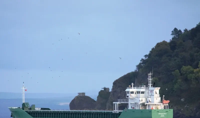 ARKLOW FIELD General Cargo IMO 9527673 photo 8